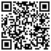 手机/微信访问网站